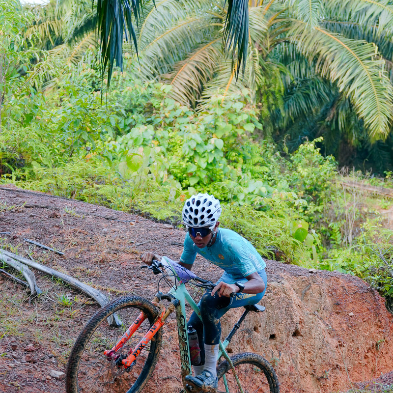 SMALL BUT MANY WALKS